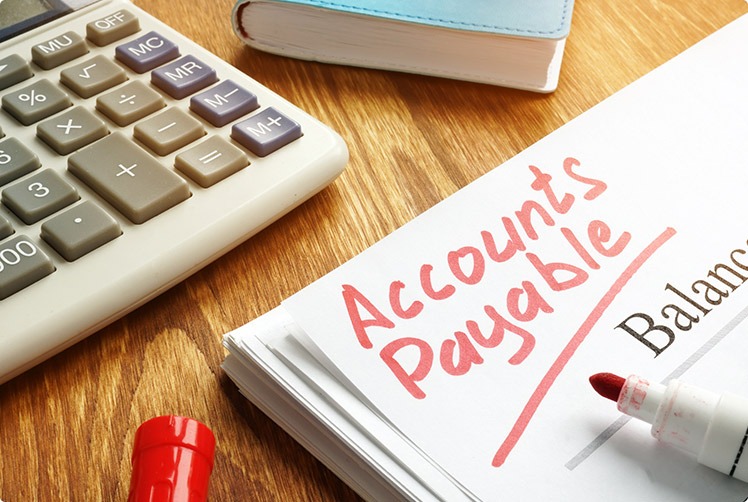 Accounting & Finance | Iceberg PMC | Workflow Process Improvement and Business Analysts | North America